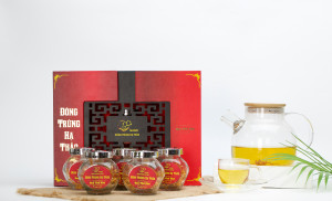 Đông Trùng Hạ Thảo có tác dụng như thế nào?