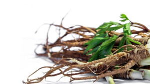 10 loại thảo dược tốt cho phụ nữ trong thời kỳ mãn kinh