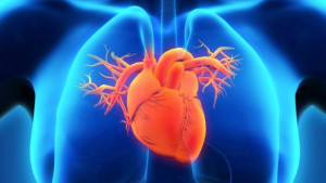 Bệnh cơ tim và suy tim có gì giống và khác nhau?