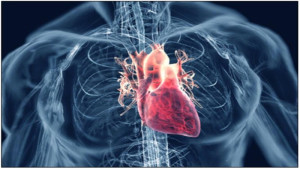 Cuồng nhĩ: Triệu chứng, nguyên nhân, yếu tố nguy cơ, chẩn đoán và điều trị