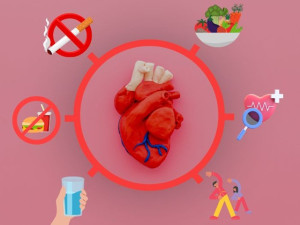 Làm thế nào để cải thiện sức khỏe tim mạch?