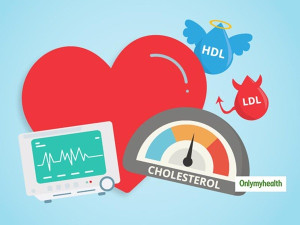 Cholesterol có vai trò gì trong cơ thể?