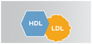 Cholesterol tốt và cholesterol xấu khác nhau như thế nào?