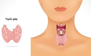 Đau dây thần kinh số 5 - người đàn ông 4 năm chỉ dám húp cháo