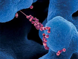 Căn bệnh khiến nghệ sĩ Trấn Thành vắng bóng trong các show truyền hình