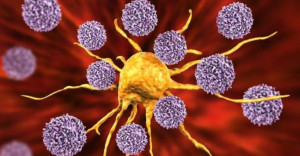 Đau dây thần kinh số 5 - người đàn ông 4 năm chỉ dám húp cháo