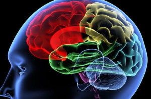 15 tuổi bị suy thận, nguyên nhân do đâu?