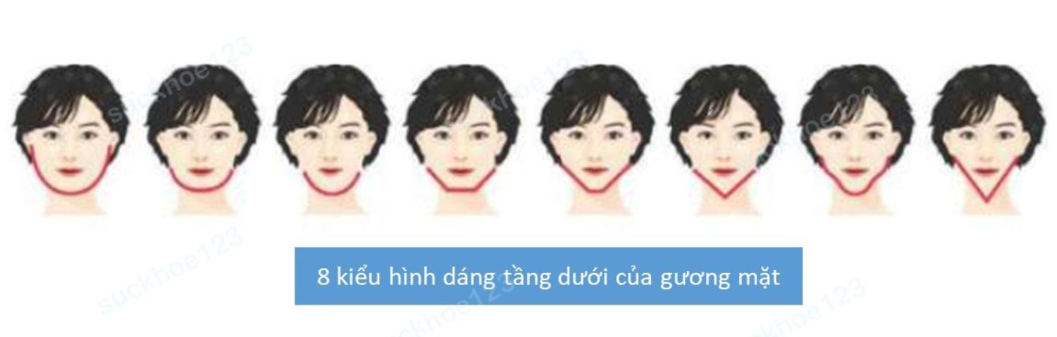 8 kiểu dáng mặt dưới