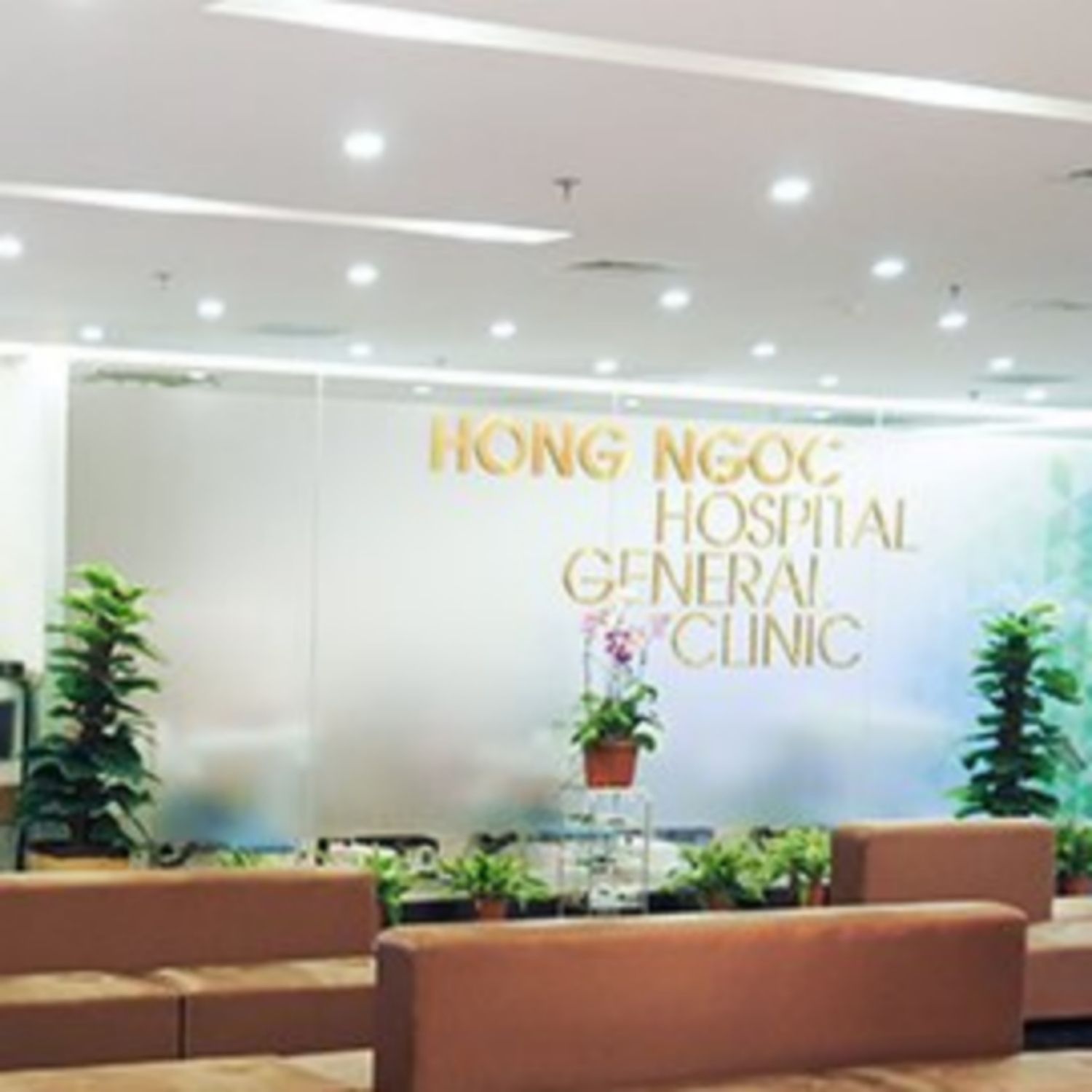 hong ngoc