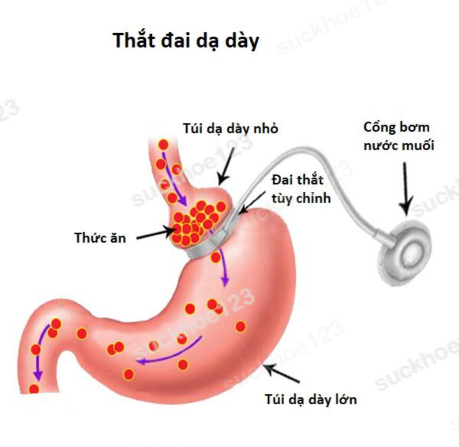 that dai da day