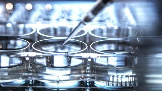 Cảnh Báo Về Các Sản Phẩm Chứa Tế Bào Gốc Và Exosome