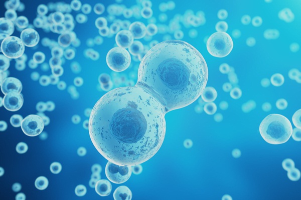 Chăm Sóc Da Dằng Tế Bào Gốc, Yếu Tố Tăng Trưởng Và Exosome Có Hiệu Quả Không?