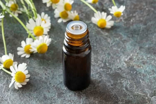 Chiết Xuất Cúc La Mã (Chamomile) Có Tác Dụng Gì Cho Da?
