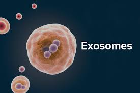 exosome