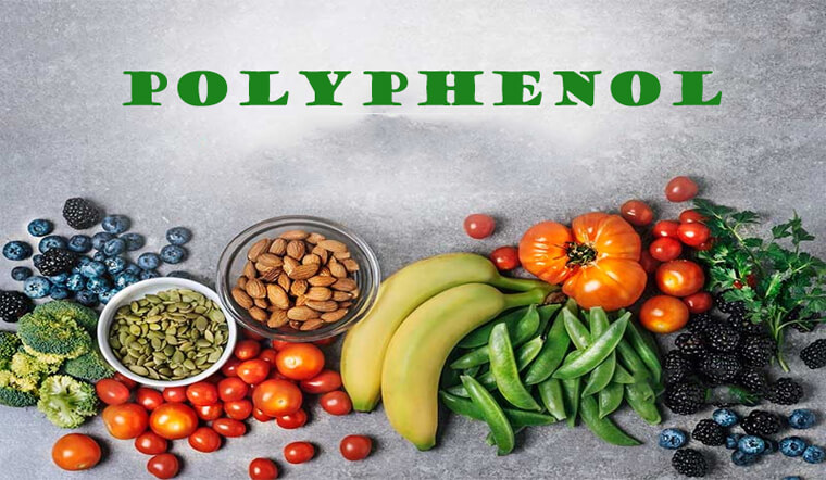 polyphenol la gi