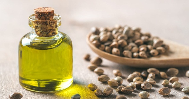 Dầu hạt gai dầu có tác dụng gì cho da?