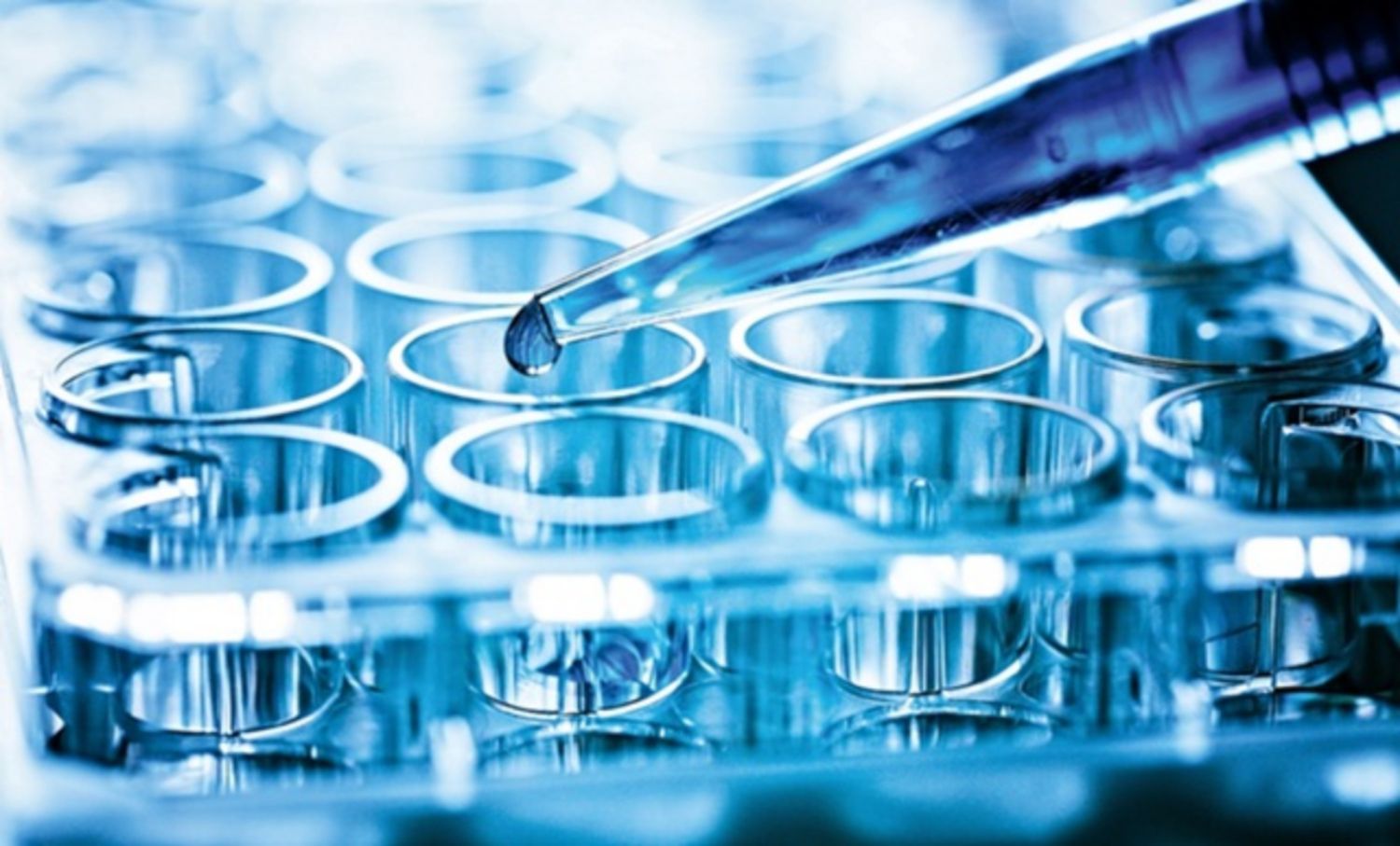 Defensin: Thành phần đầy hứa hẹn trong chăm sóc da