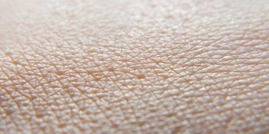 Những điều cần biết về quần thể vi sinh vật trên da