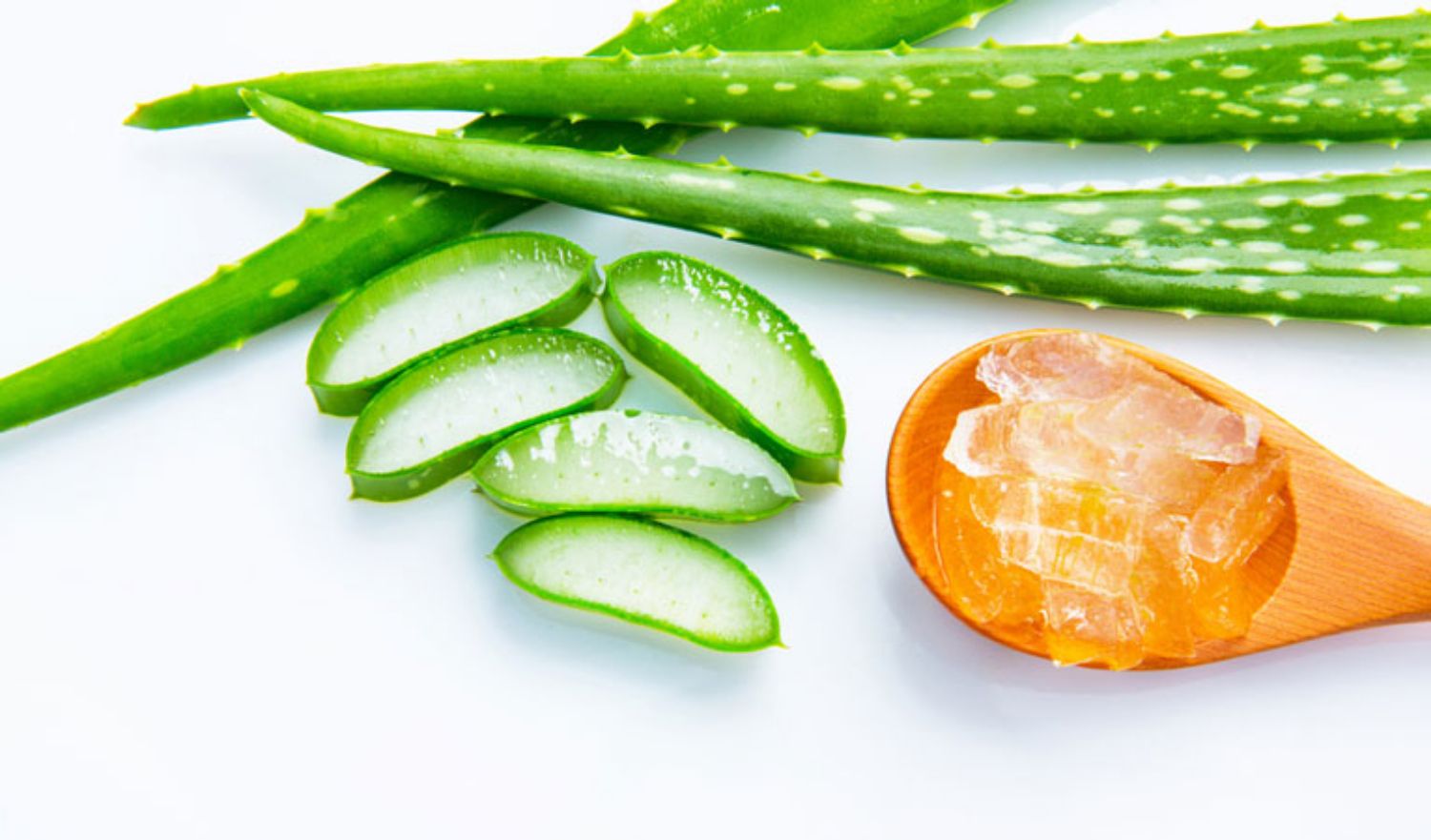 Tác dụng của lô hội đối với da mụn