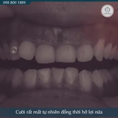 KHI ĐÃ ĐẾN SHINBI RỒI THÌ TÔI QUYẾT ĐỊNH ĐÂY LÀ NƠI DỪNG CHÂN!