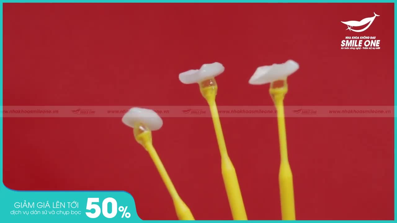 ƯU ĐÃI SHOCK CHỈ CÒN GIÁ GỐC