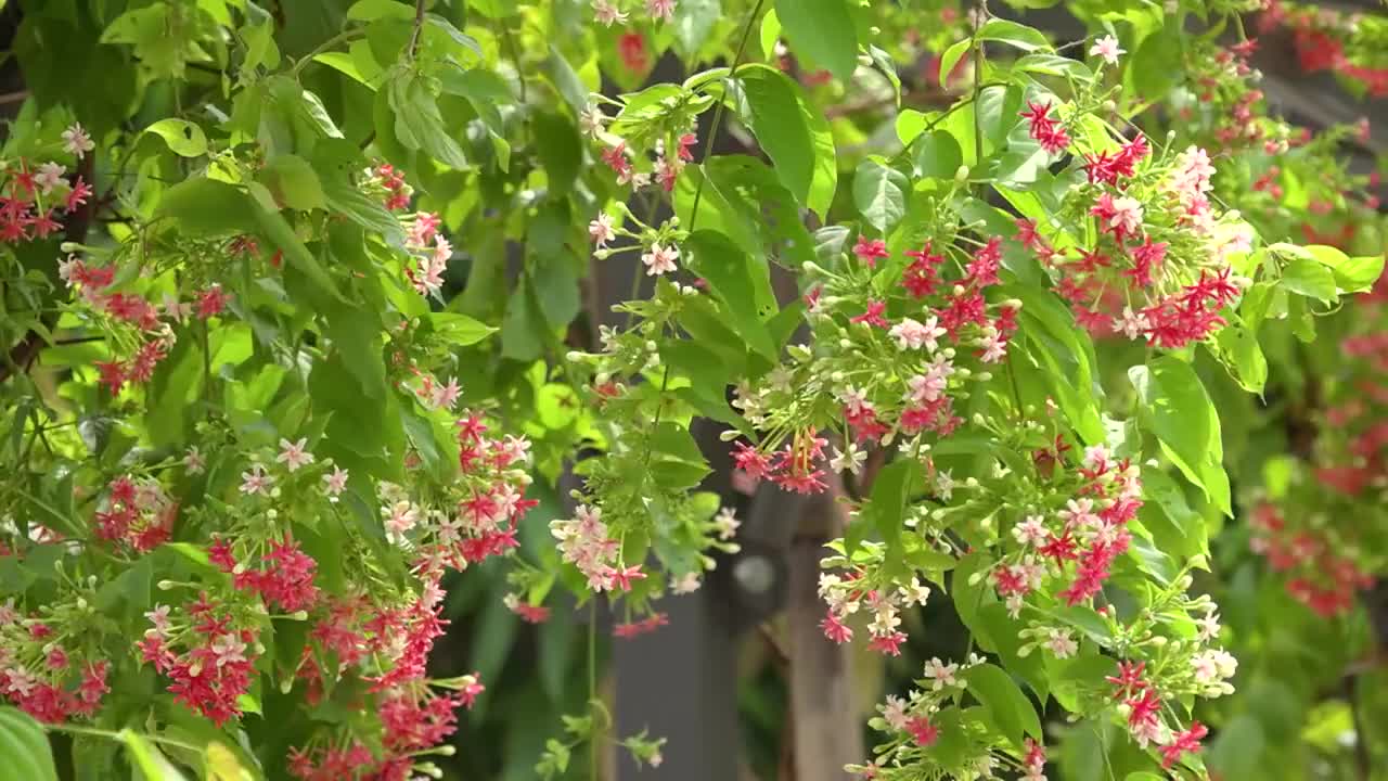 Nếu phải nói về khoảnh khắc thiêng liêng nhất trong cuộc đời mỗi người phụ nữ thì đó chính là khoảnh khắc vượt cạn.