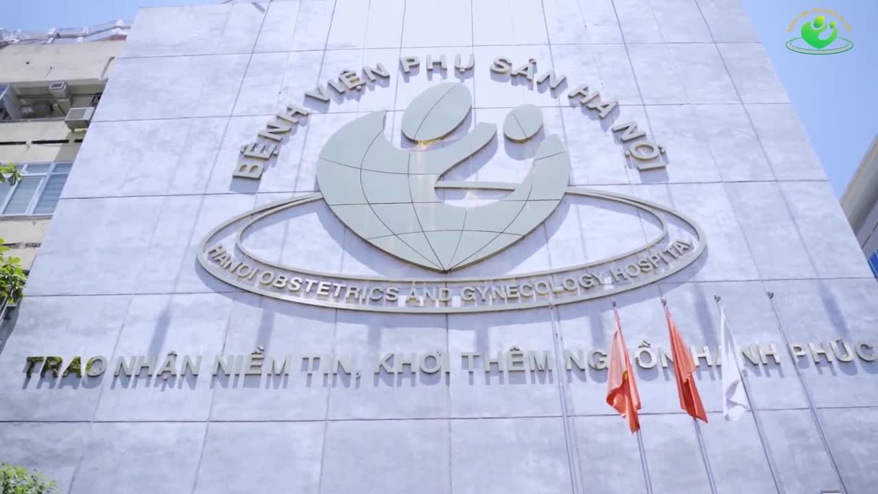 Trải nghiệm chân thực xông hơi phục hồi sàn chậu sau sinh - Đào thải sản dịch, làm sạch vùng kín