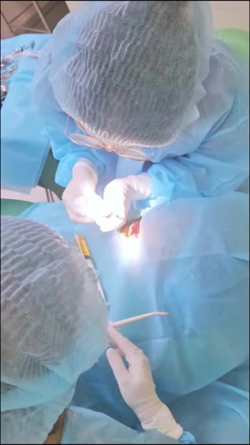 Quá trình NHỔ RĂNG KHÔN mọc ngầm cho cô gái ĐAU ĐỚN không ăn - không ngủ được đến cầu cứu Bác sĩ JW
