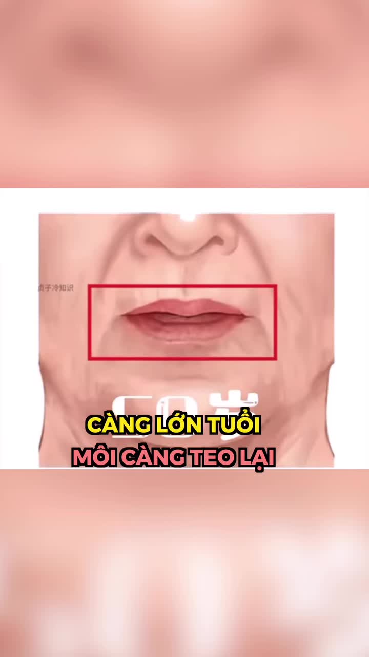 “Môi không mỏng đi… chỉ là tuổi tác đang ‘lấy dần’ vẻ quyến rũ của bạn.”