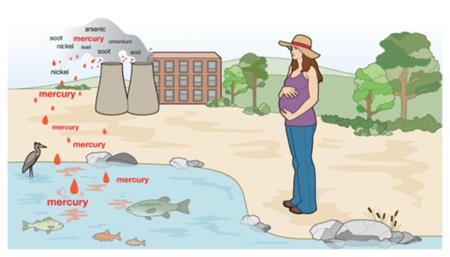 ca nhiem thuy ngan