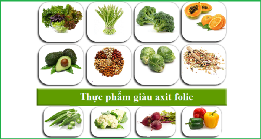 Ứng dụng Ngân hàng mô trong lĩnh vực Chấn thương chỉnh hình - Bệnh Viện Việt Đức
