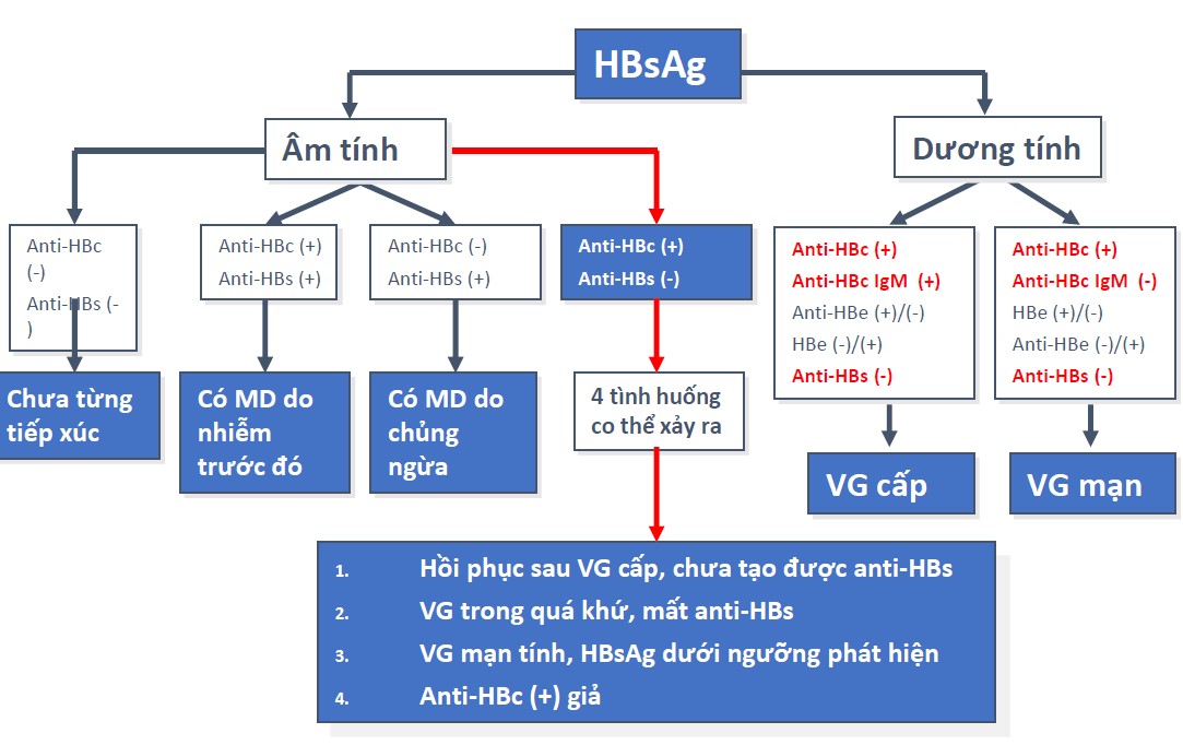 Xét nghiệm HBsAg từ labo đến lâm sàng - Bệnh viện 108