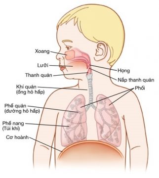 Chăm sóc cho trẻ có Canuynh khí quản tại nhà