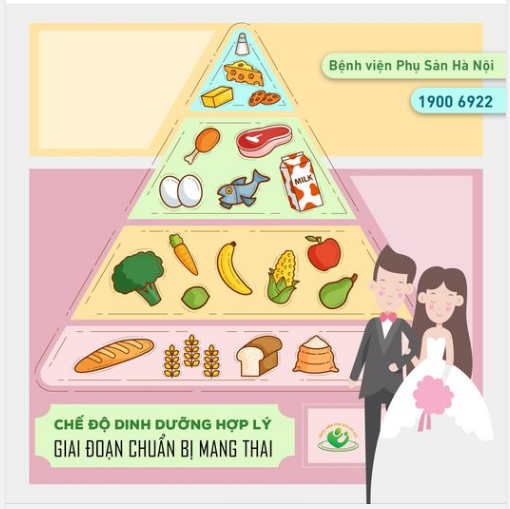 Chế độ dinh dưỡng hợp lý cho giai đoạn chuẩn bị mang thai