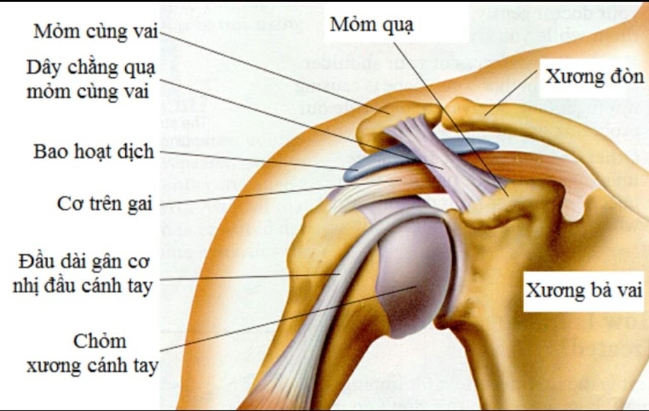 Đau vai không nên chủ quan - Bệnh viện Việt Đức