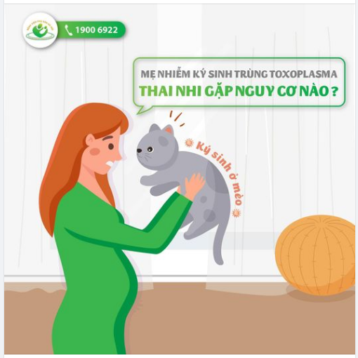 Mẹ nhiễm ký sinh trùng Toxoplasma khi mang thai, thai nhi chịu ảnh hưởng như thế nào?