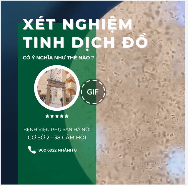 Xét nghiệm tinh dịch đồ cho biết điều gì?