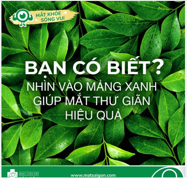 BẠN CÓ BIẾT: NHÌN VÀO MẢNG XANH GIÚP MẮT THƯ GIÃN HIỆU QUẢ!?