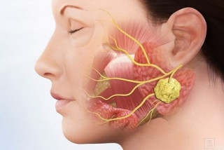 Nước bọt rất tốt cho cơ thể - Bệnh viện Hoàn Mỹ Sài Gòn