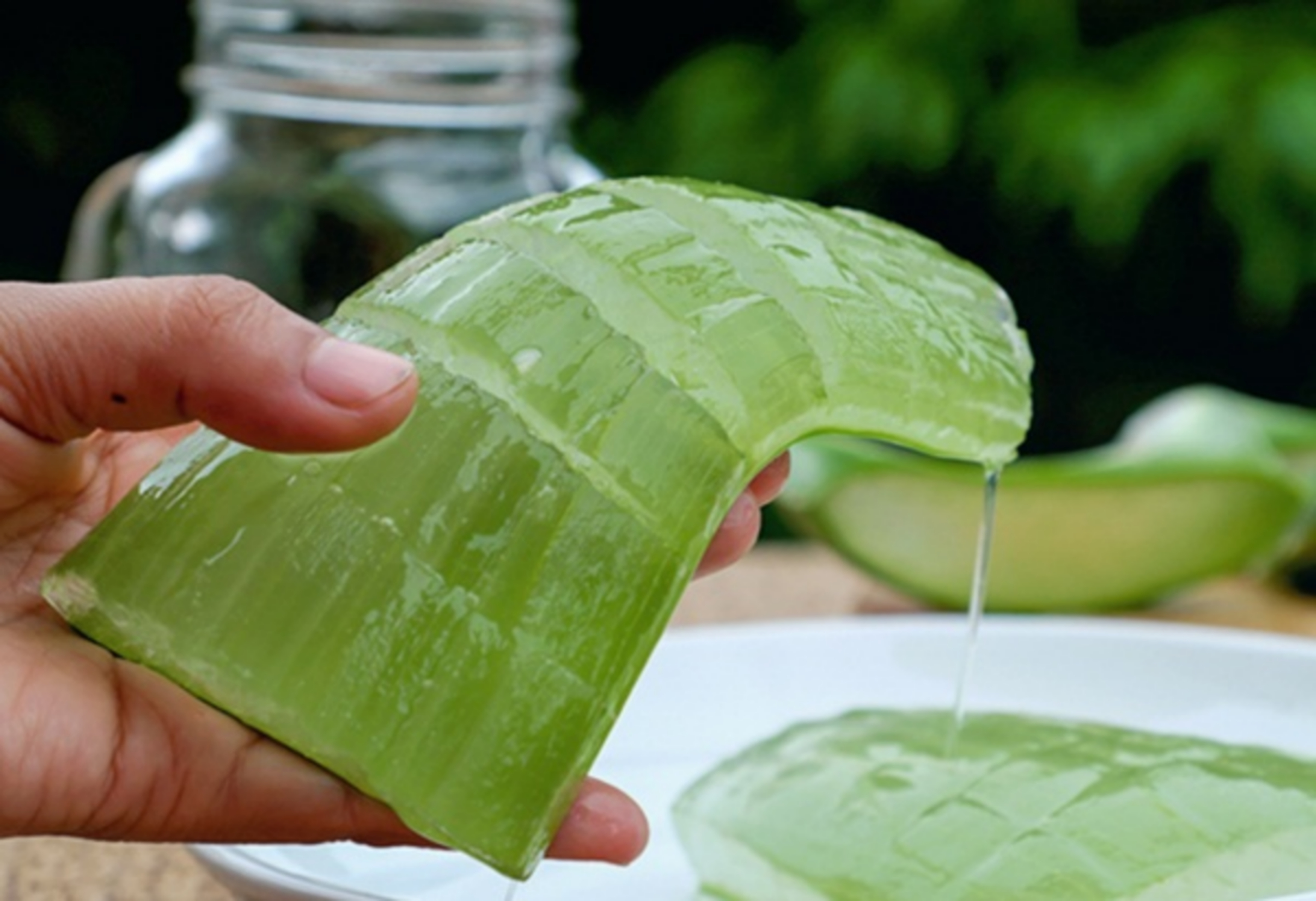 Các biện pháp tự nhiên để điều trị bệnh trứng cá đỏ