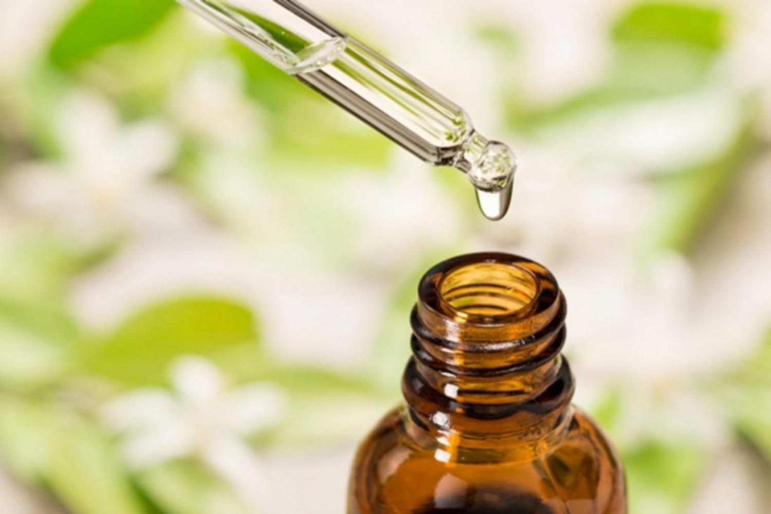 Tinh dầu tràm trà (tea tree oil) có thể giúp điều trị viêm da cơ địa