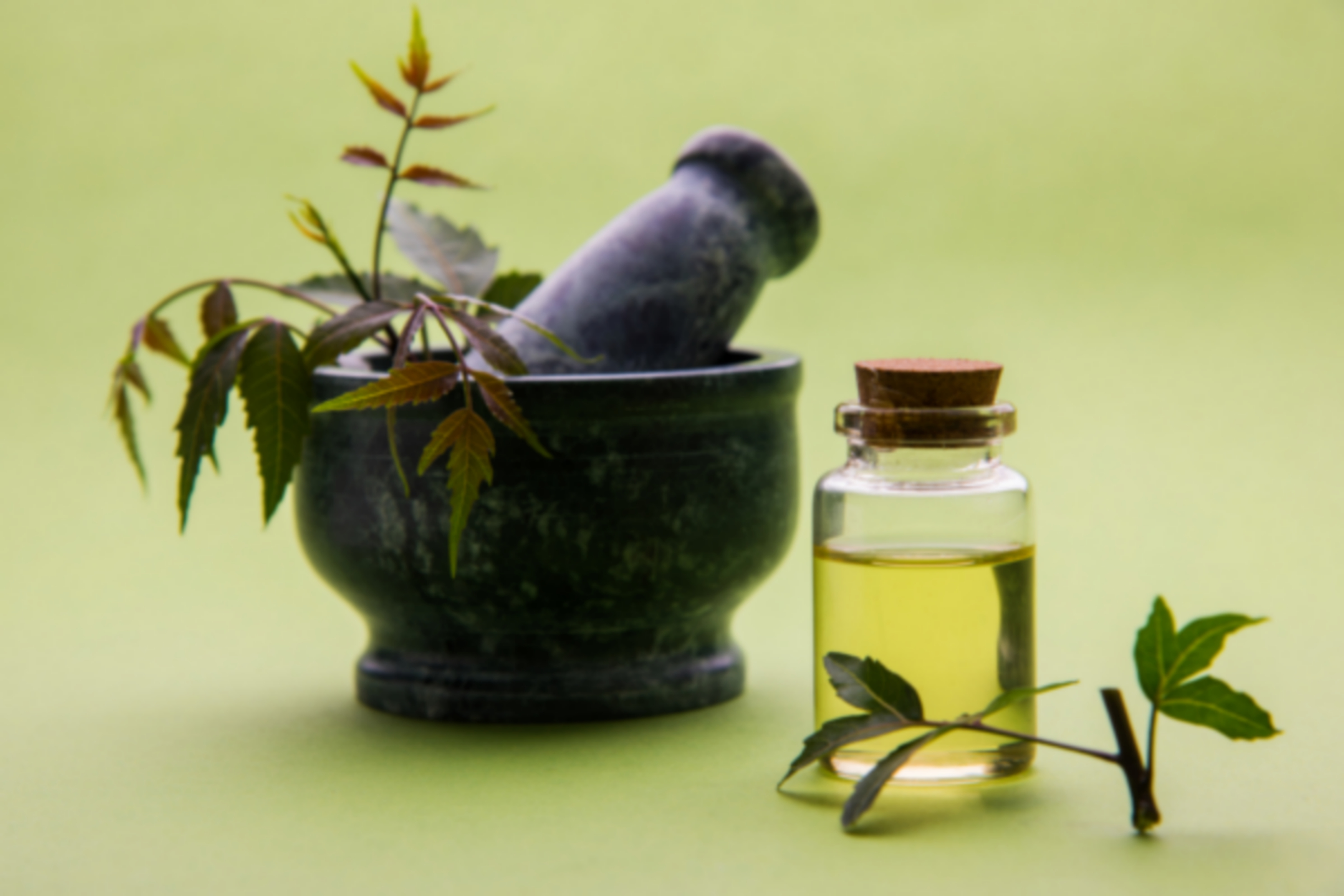 Tác dụng của dầu Neem trong chăm sóc da