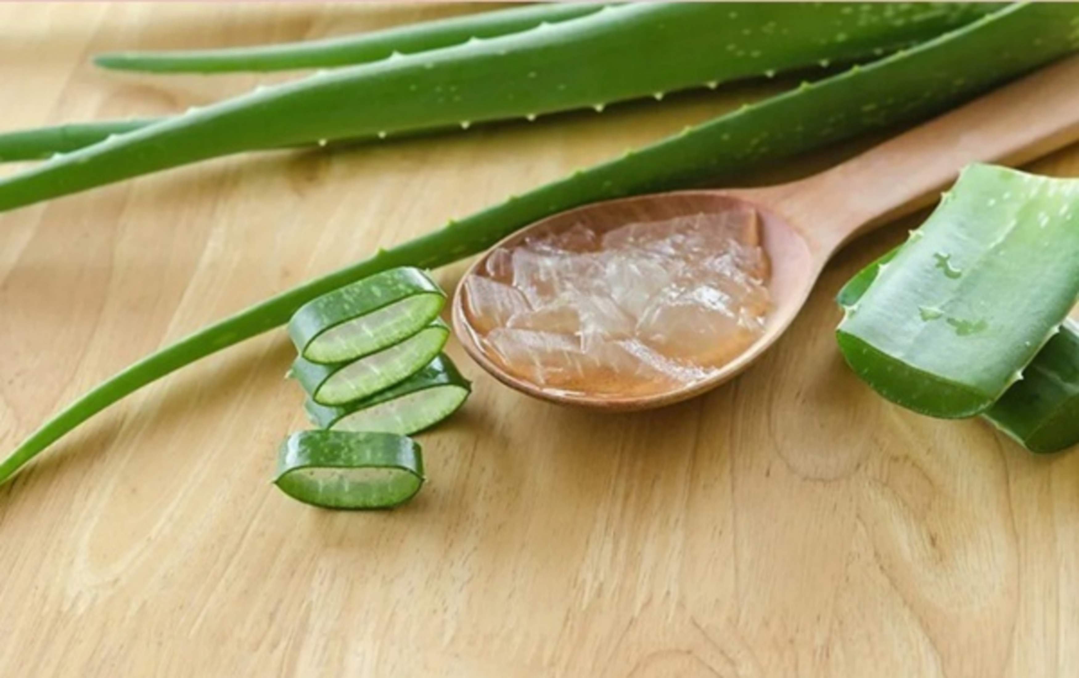 Các cách điều trị bệnh hắc lào đơn giản tại nhà