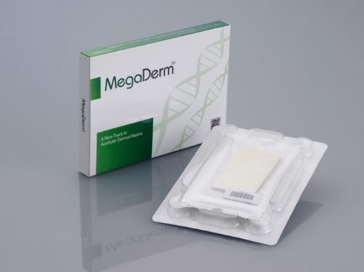 Làm To Dương Vật Bằng Tấm Độn Sinh Học Megaderm