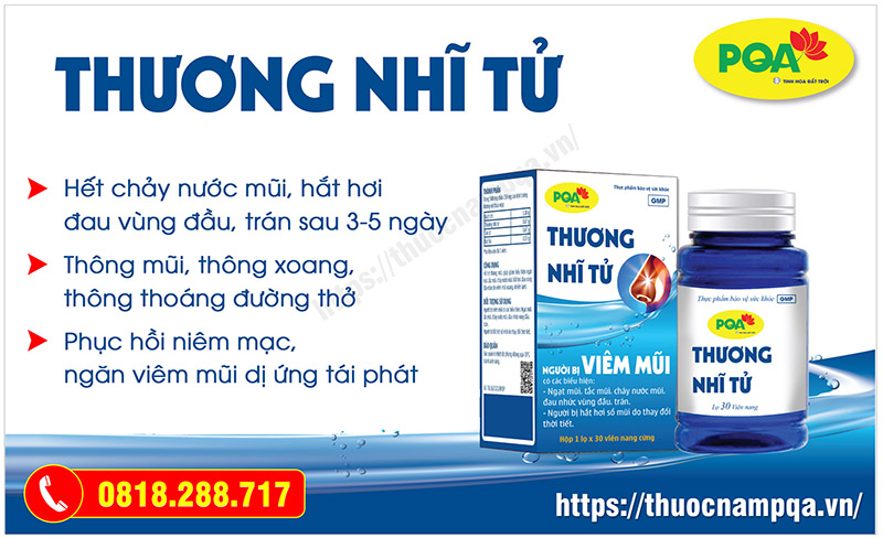 PQA Thương Nhĩ Tử hỗ trợ điều trị viêm mũi dị ứng hiệu quả