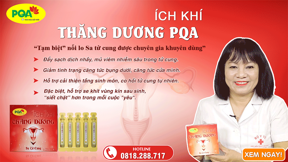PQA Ích Khí Thăng Dương - hỗ trợ điều trị người bị bệnh sa tử cung hiệu quả 