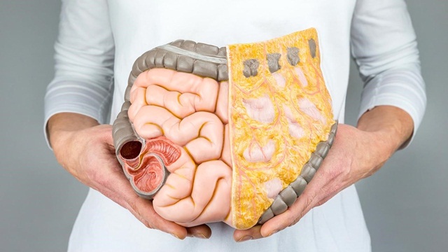 Bệnh tiểu đường type 2 và các vấn đề về đường tiêu hóa