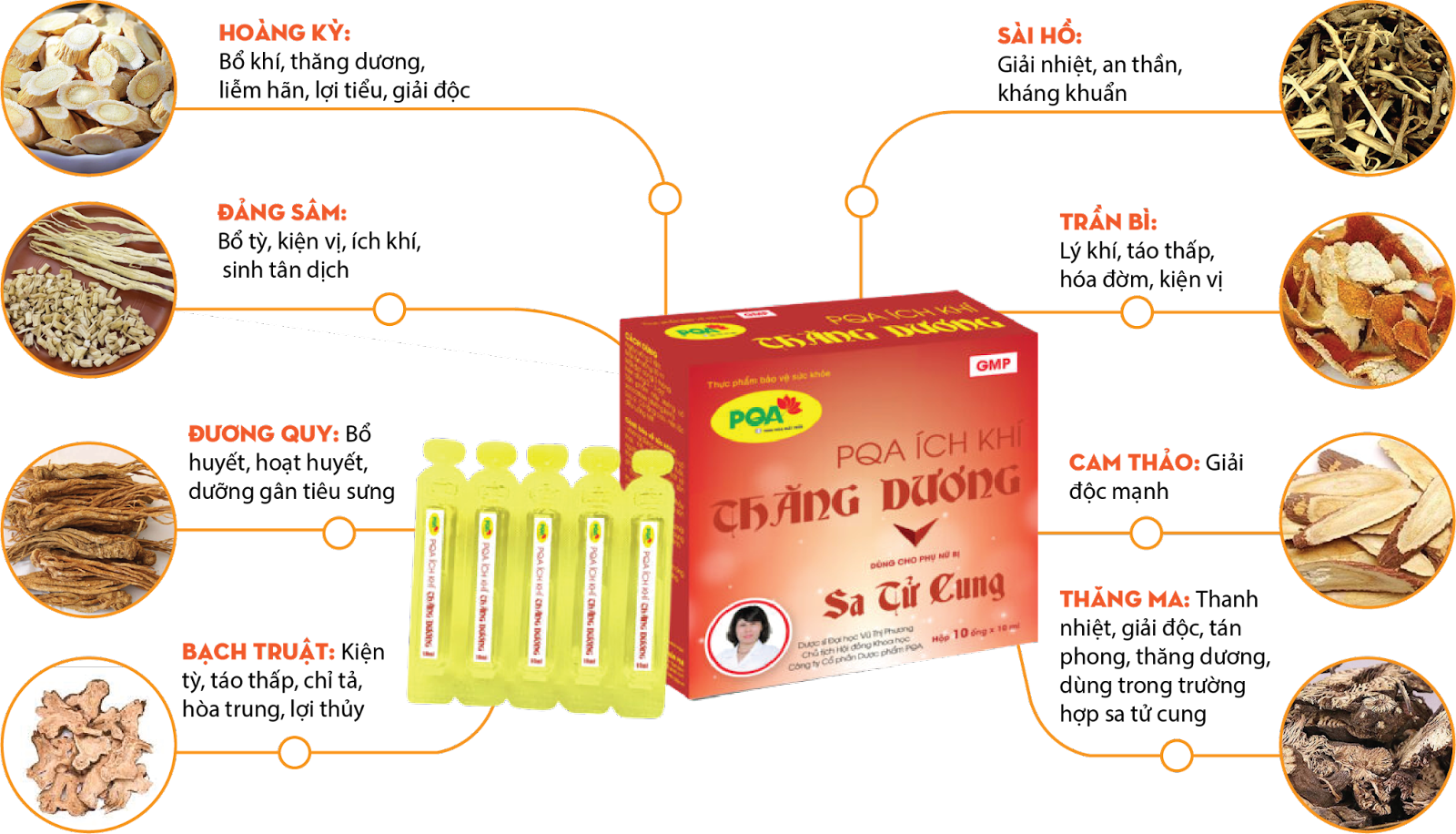 Bảng thành phần lành tính của PQA Ích Khí Thăng Dương