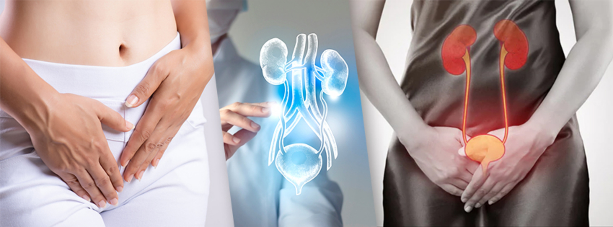 Phân biệt nhiễm trùng nấm men và nhiễm trùng đường tiết niệu