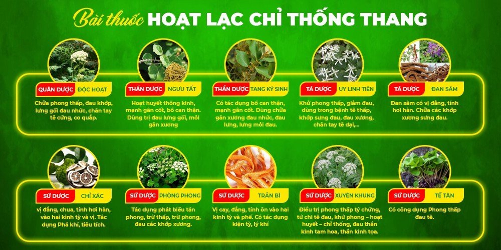 Thành phần thảo dược tự nhiên của sản phẩm PQA Phòng Phong
